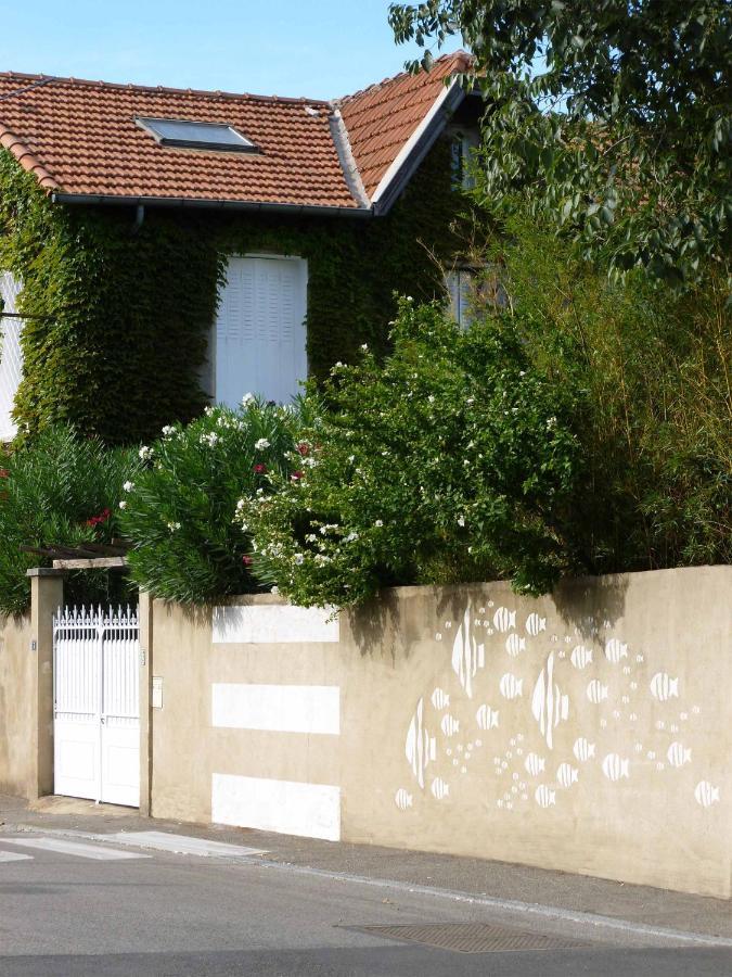 Les Petits Poissons Avignon Exterior foto